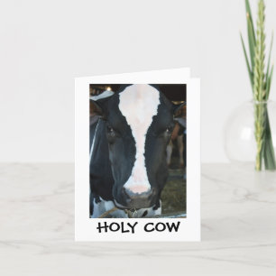 Cartão Holy Cow Birthday Card