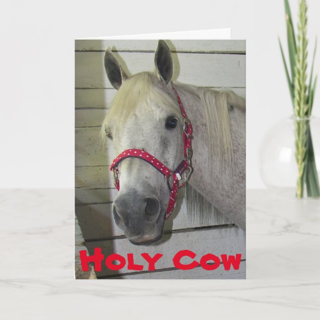 Cartão HOLY COW YOUNG FILLY **60th BIRTHDAY** (Frente)