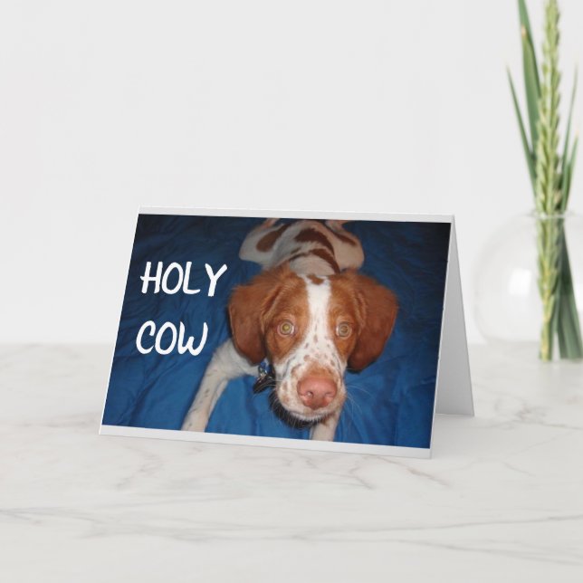 CARTÃO HOLY VACA DIZ PUP "VOCÊ ESTÁ FAZENDO 70" (Frente)