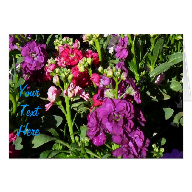 Cartão Home Depot Flower Display (Frente Horizontal)