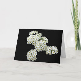 Cartão Home Grown White Floral Greeting Cards