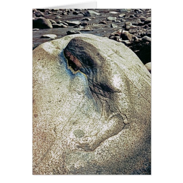 Cartão Homenagem às mulheres andinas/cartão de dobramento (Frente)