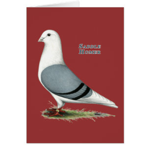 Cartão Homer Blue Saddle