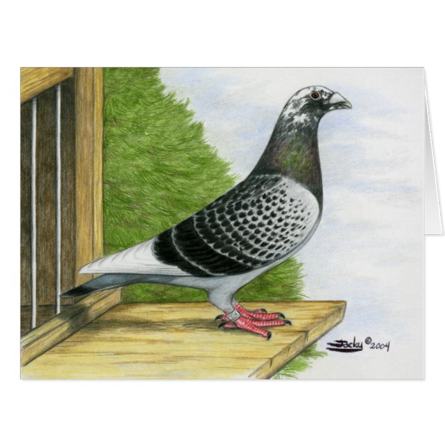 Cartão Homer de corrida no Conselho de aterrissagem (Frente horizontal)