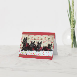 Cartão Honestamente, fomos bons