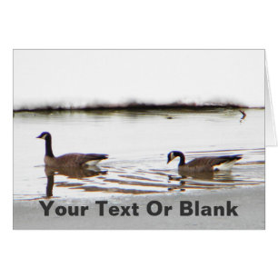 Cartão Honkers - Canadá Geese