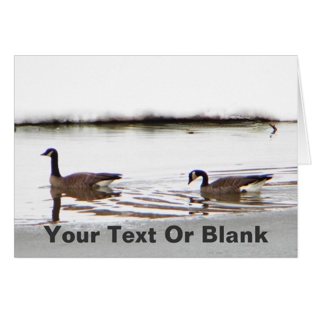 Cartão Honkers - Canadá Geese (Frente Horizontal)