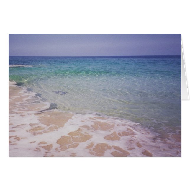 Cartão Honu na praia de La a'Loa (Frente Horizontal)