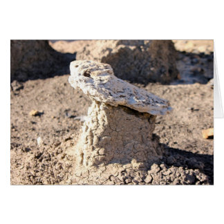 Cartão Hoodoo, San Juan Badlands