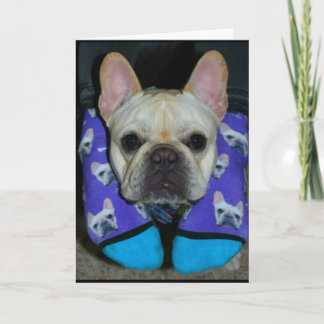 Cartão Hope Your Birthday Is Dog-Gone Happy!