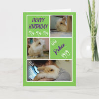 Hoppy Birthday Engraçado Coelho Pun Foto Saudação