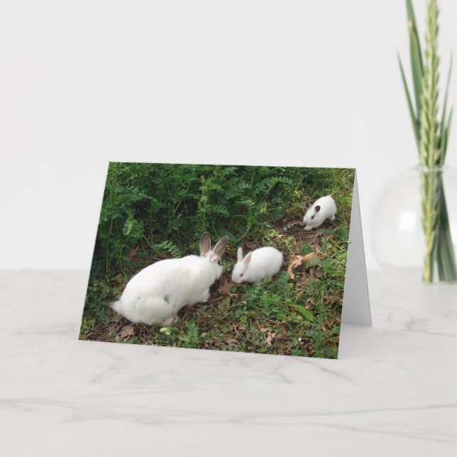 Cartão Hoppy Mother's Day (Frente)