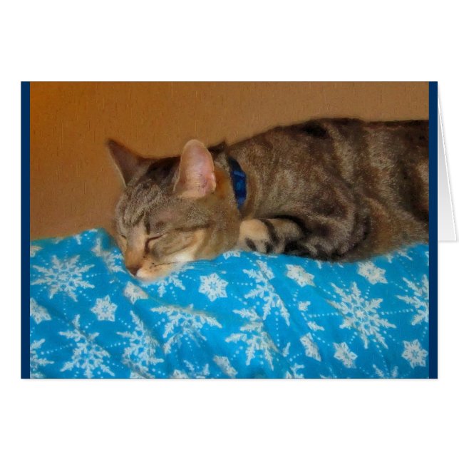 Cartão Hora Da Noite Para O Indigo (Frente Horizontal)