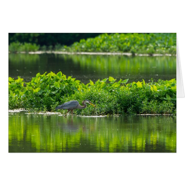 Cartão Hora das Refeições de Lagostas (Frente horizontal)