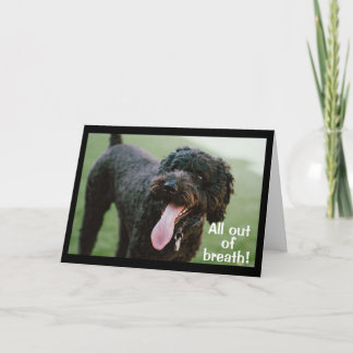 CARTÃO **HORA DE CELEBRAR SEU ANIVERSÁRIO DE 13**