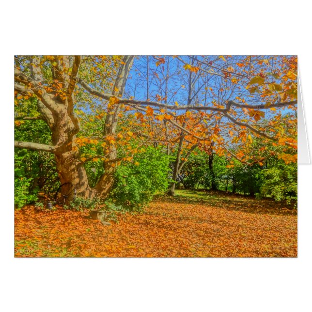 Cartão Hora de Rake! (Frente Horizontal)