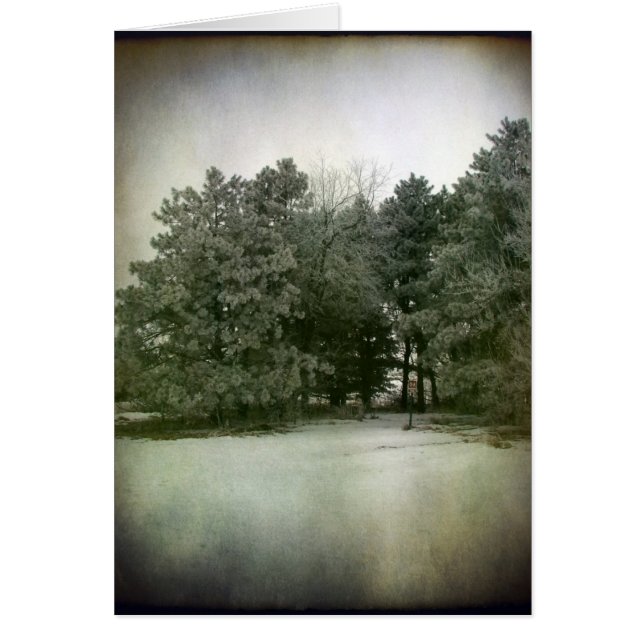 Cartão Hora do inverno (Frente)