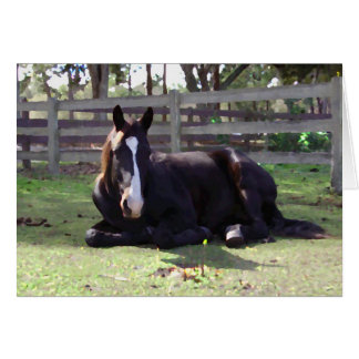 Cartão Hora do Nap dos Cavalos