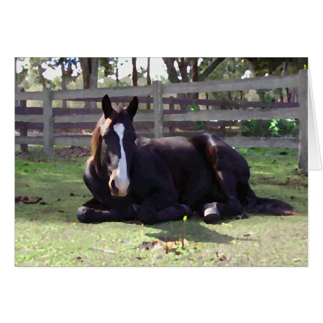 Cartão Hora do Nap dos Cavalos (Frente Horizontal)