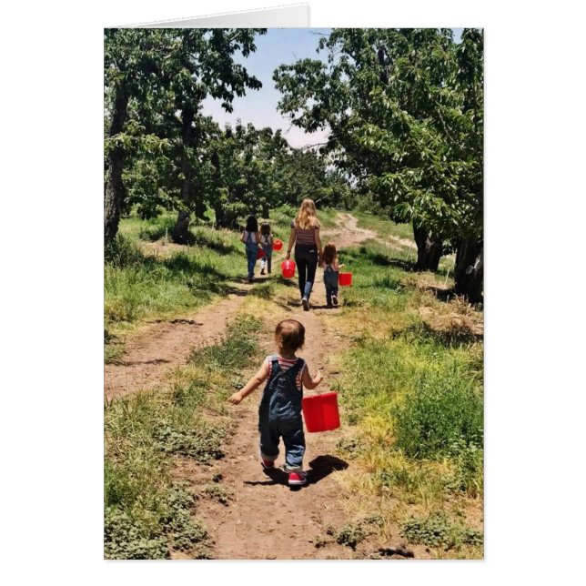 Cartão Horário de colheita de cereja (Frente)