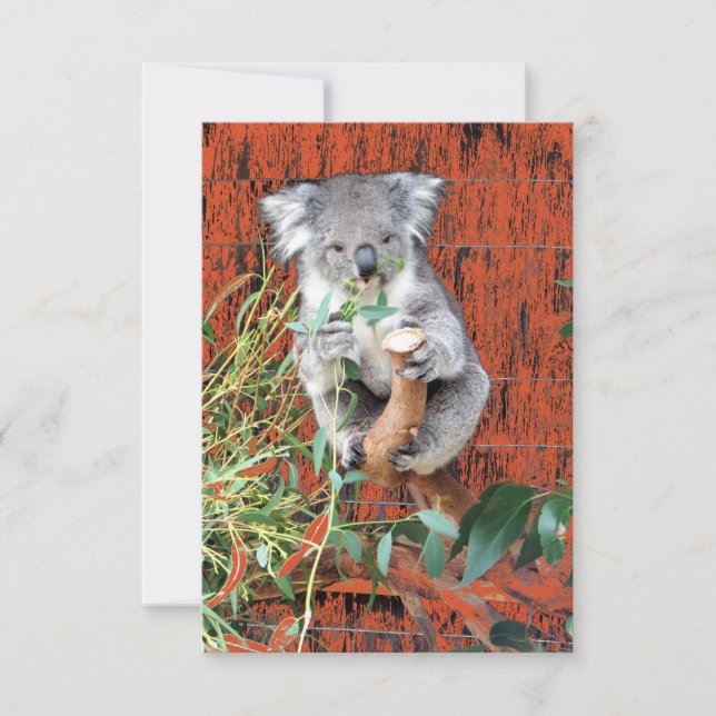 Cartão Horário de Snack Koala (Frente)