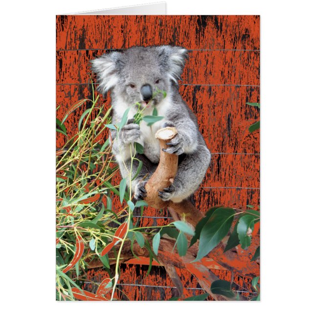 Cartão Horário de Snack Koala (Frente)