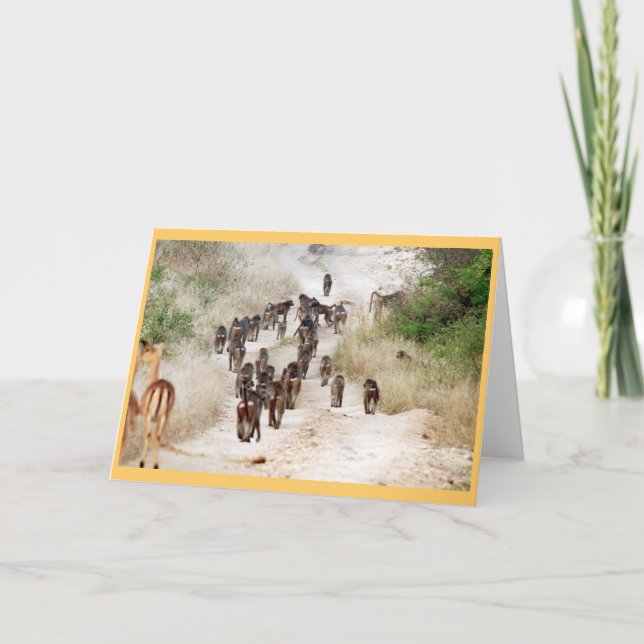 Cartão Horas de ponta do babuíno (Frente)