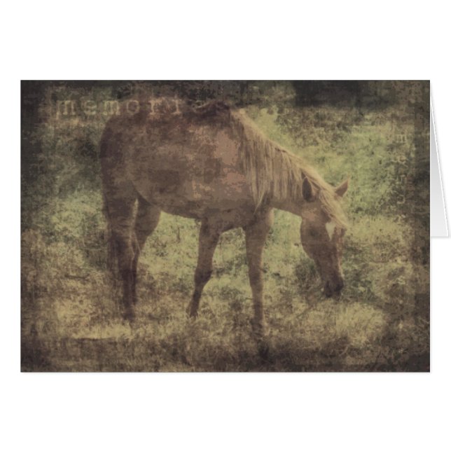 Cartão Hormonas Memórias Grunge (Frente Horizontal)