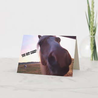 Cartão Horse Birthday Card