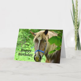 Cartão Horse Brown Belgian Draft Photo Birthday