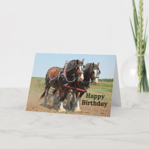 Cartão Horse Clydesdale Farming Photo Birthday