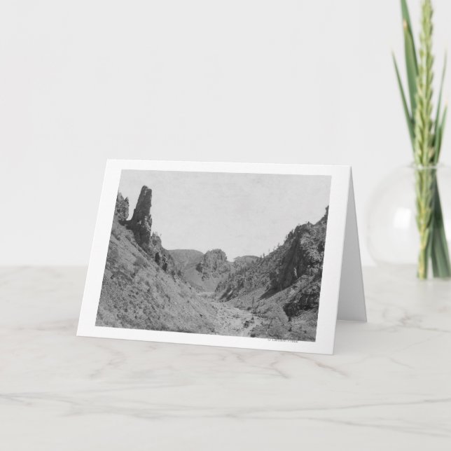 Cartão Horse-Drawn Coach in Phantom Ridge Photograph (Frente)