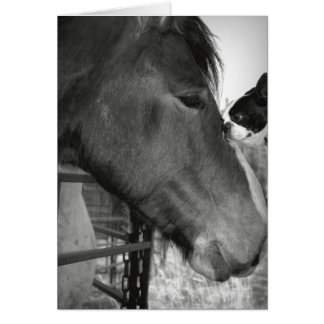 Cartão Horse e Boston Terrior