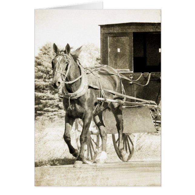 Cartão Horse e Buggy Sepia (Frente)