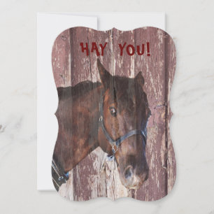 Cartão Horse FUN FUNNY olha seu aniversário
