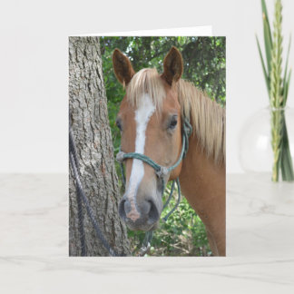 Cartão Horse Greeting Card