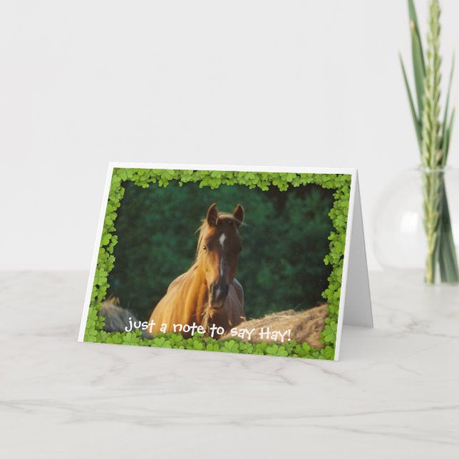 Cartão Horse greeting card (Frente)