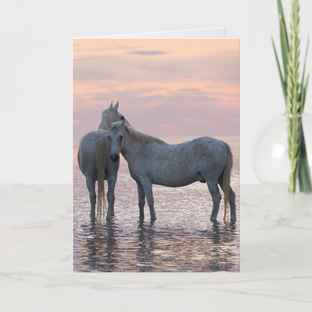 Cartão Horse Greeting Card - Two White Horses Friends (Frente)