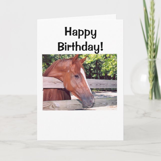 Cartão Horse, Happy Birthday! (Frente)