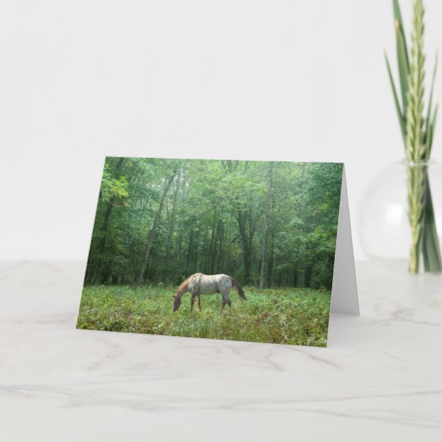 Cartão Horse in Meadow (Frente)