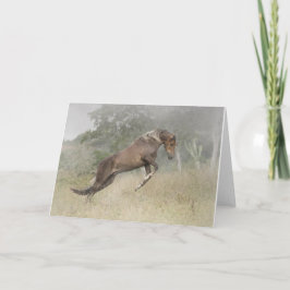 Cartão Horse Jumping