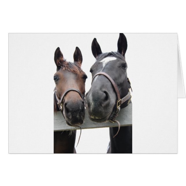 Cartão Horse Love (Frente Horizontal)