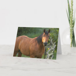 Cartão Horse Note Card