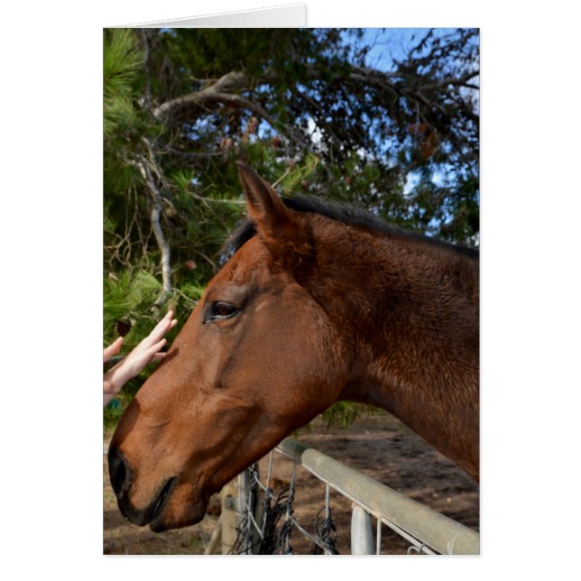 Cartão Horse_Pat,_Greeting_Card. (Frente)