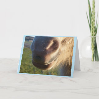 Cartão Horse smile Card