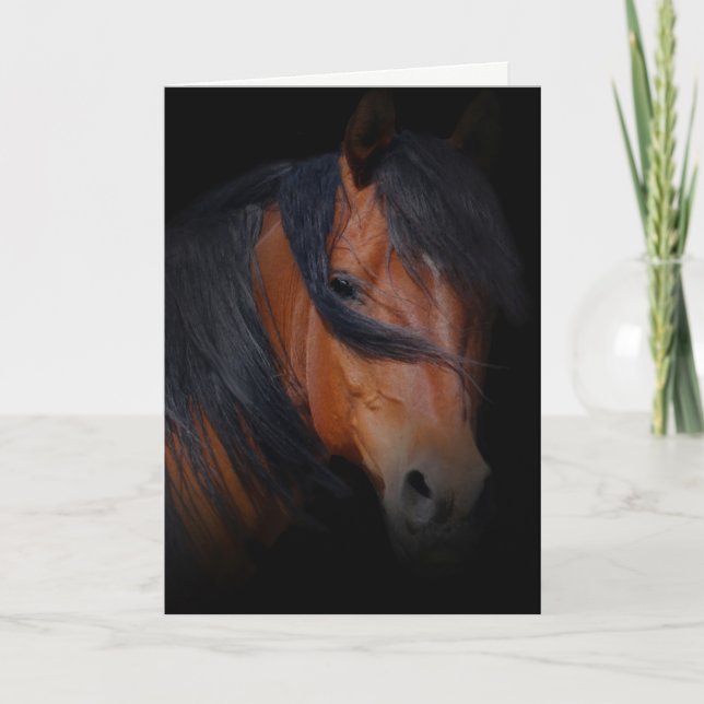 Cartão Horse Sympathy Card for Loss of Horse (Frente)