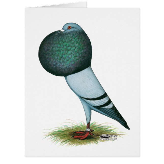 Cartão Horseman Pouter Azul (Frente)