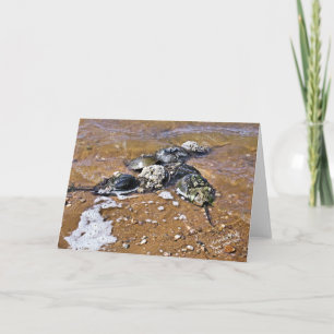 Cartão Horseshoe Crab Greeting Card - Inside Blank