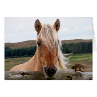 Cartão Horsie