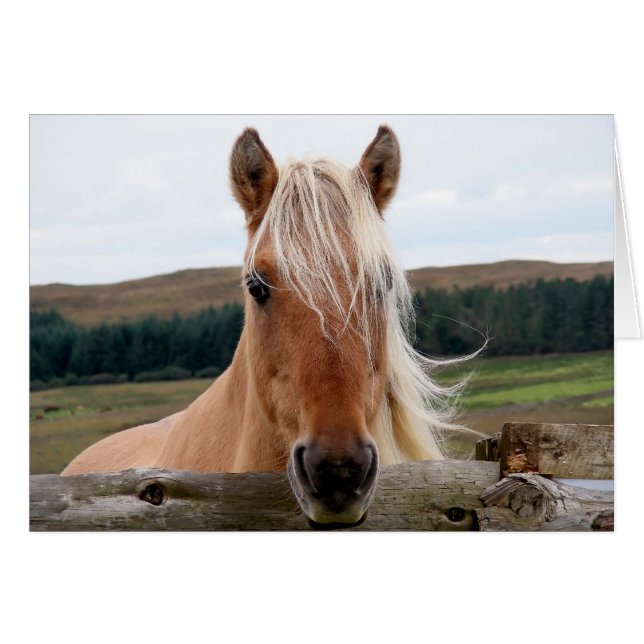 Cartão Horsie (Frente Horizontal)
